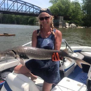 Meet your Posher, Cathy